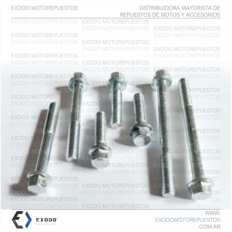 BULON ARANDELADO 6mm x 1.00 x 40mm **