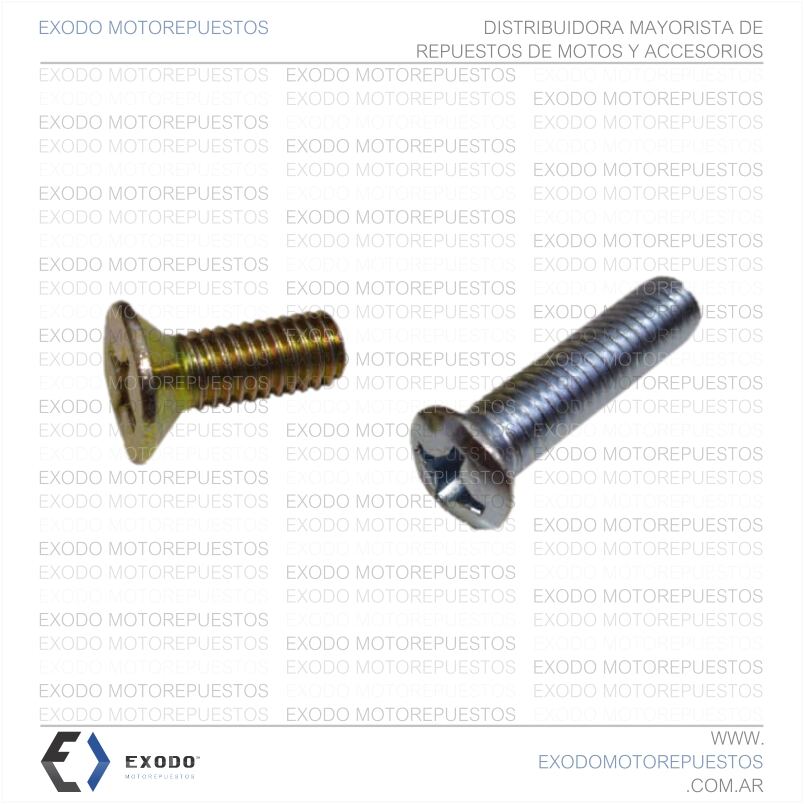 TORNILLO CABEZA FRESADA 6mm x 1.00 x 13mm **
