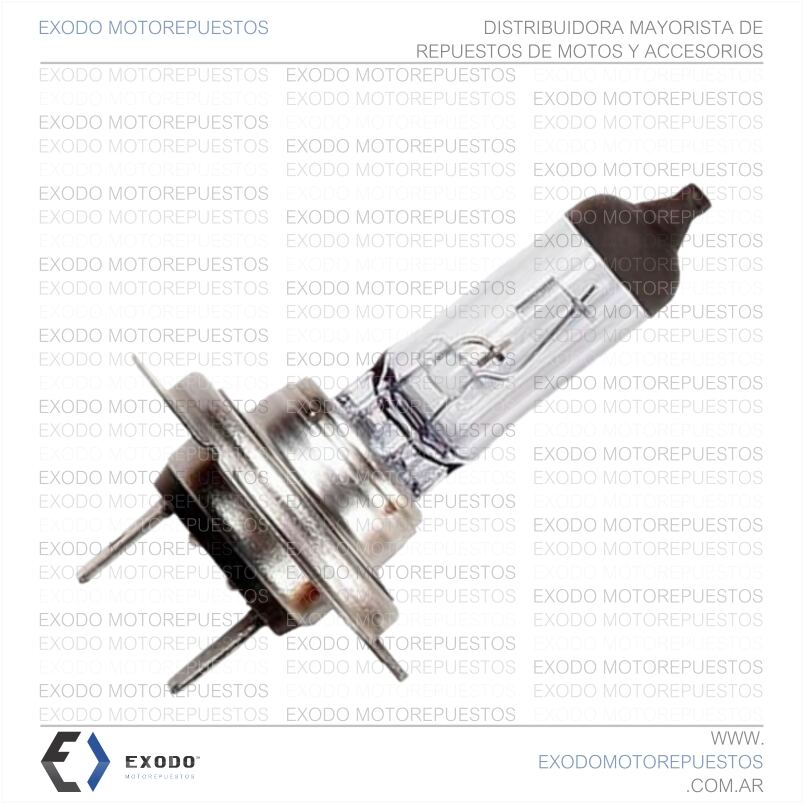 LAMPARA 12V 55W "H7" *