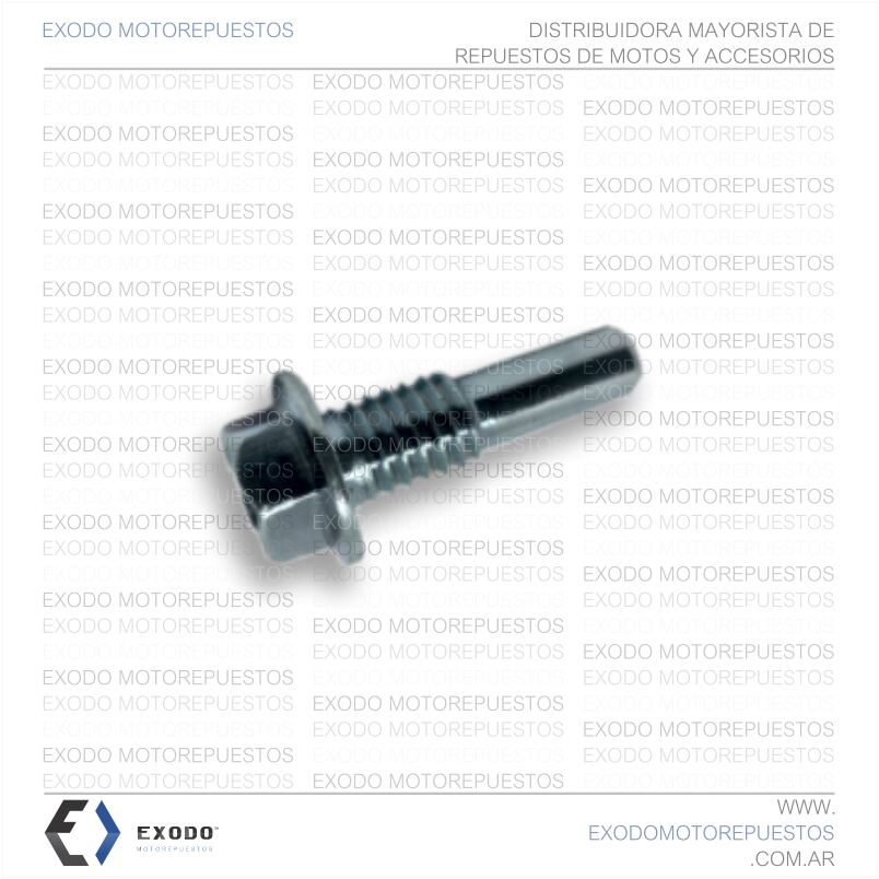 BULON PIVOT GUIA CADENA DISTRIBUCION BIZ **