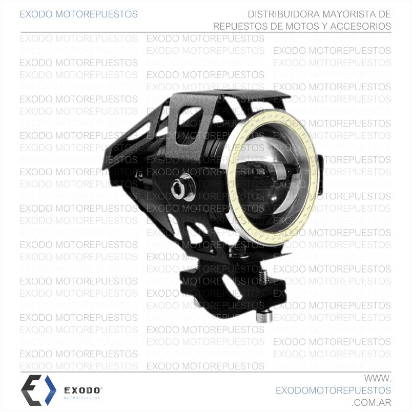 FARO AUXILIAR LUPA c/ OJO DE ANGEL 12V 12W *