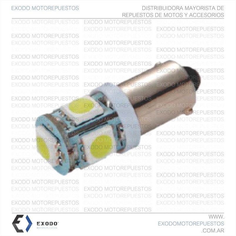 LED T10 5 SMD CON CULOTE (Blanco) *