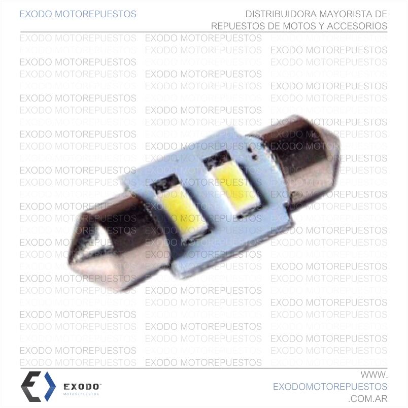 LED TUBULAR COB 31MM (Blanco) *