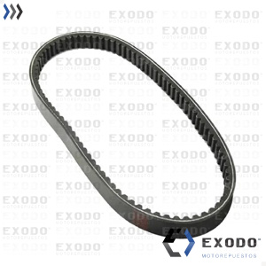 CORREA TRANSMISION ELITE 150 (818x19x30) **