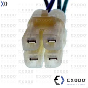 FICHA 4 VIAS Macho (CDI)