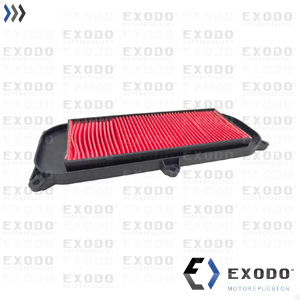 FILTRO AIRE KYMCO PEOPLE 250 *