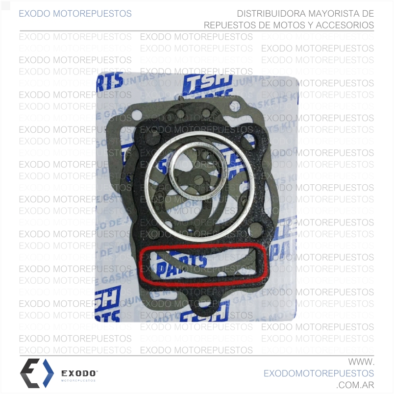 JUNTA TENSOR CADENA DISTRIBUICION YAMAHA YBR 125 Premium