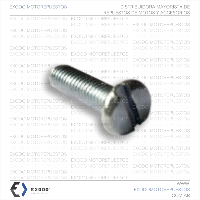 TORNILLO 4mm x 0.7 x 10mm **