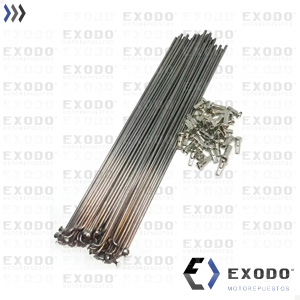 Imagen de RAYOS 4mm x 150mm (36 Unidades) *